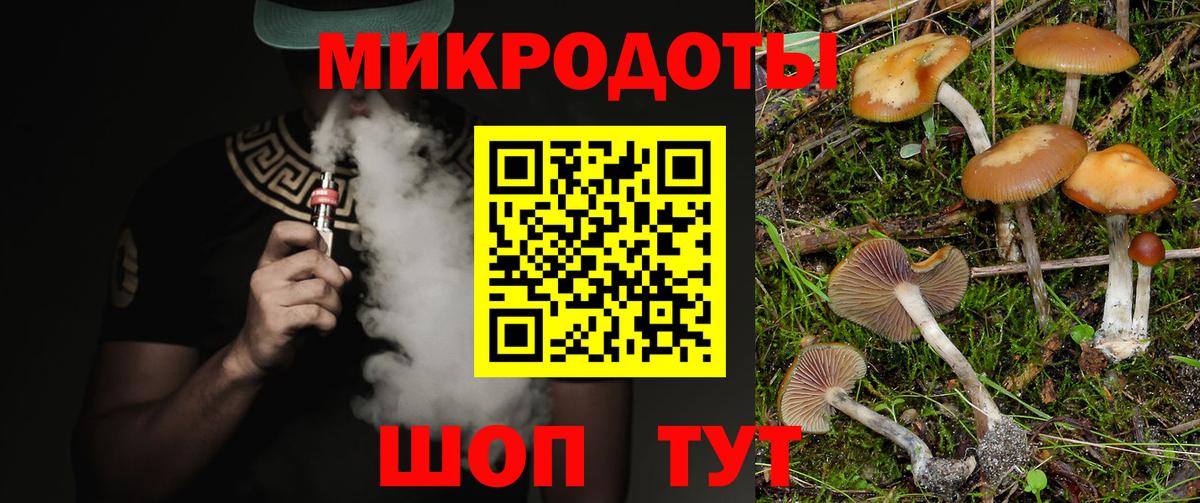 Галлюциногенные грибы мицелий Миасс