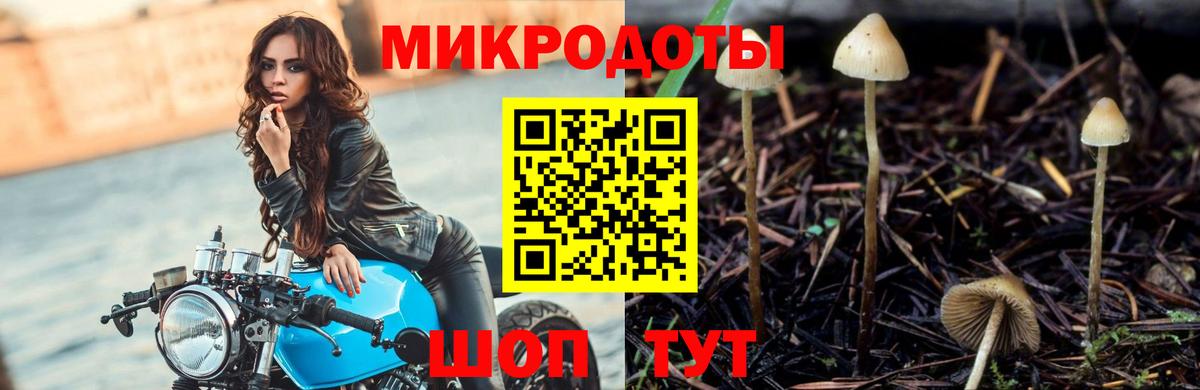Псилоцибиновые грибы Psilocybe  Вход с VPN  Миасс 
